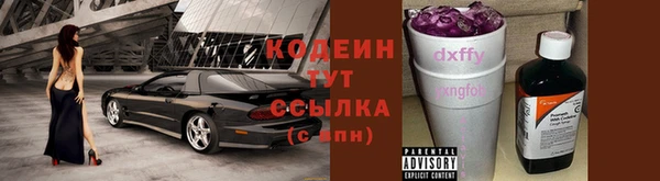 хмурый Бородино