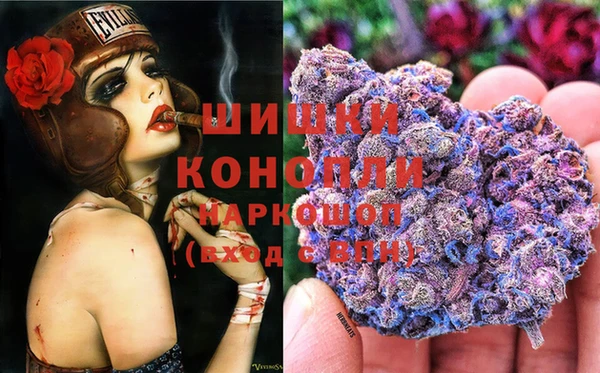стаф Бугульма