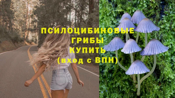 хмурый Бородино