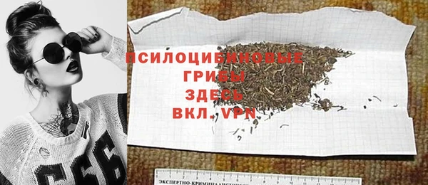 хмурый Бородино