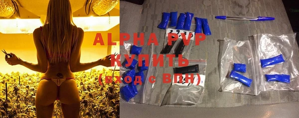 хмурый Бородино