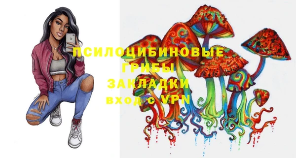 хмурый Бородино