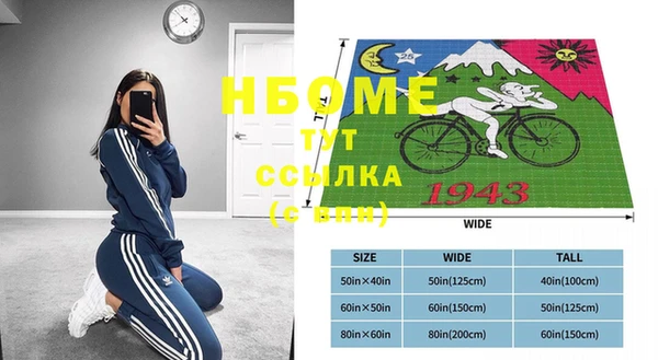 хмурый Бородино