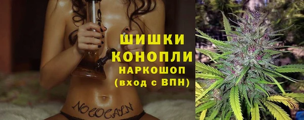 мдпв Бронницы