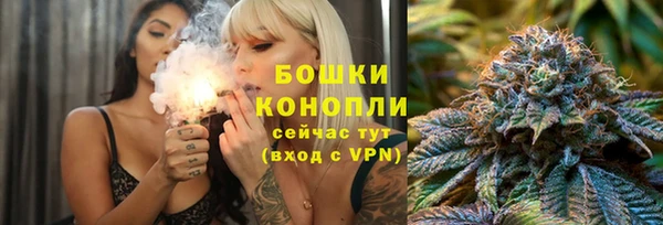 хмурый Бородино