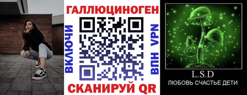 Купить  Собинка  Галлюциногенные грибы Psilocybe 